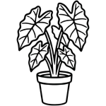 Shop All HousePlants