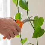Precision Pruning Snips