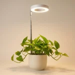 desktop grow light
