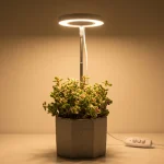 desktop grow light